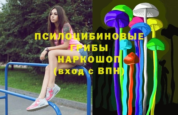 мяу мяу мука Аркадак