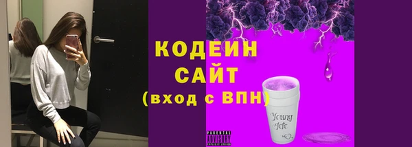 прущий лед Арсеньев