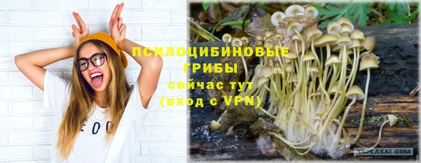 spice Армянск