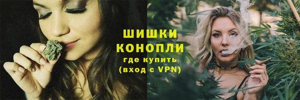 прущий лед Арсеньев